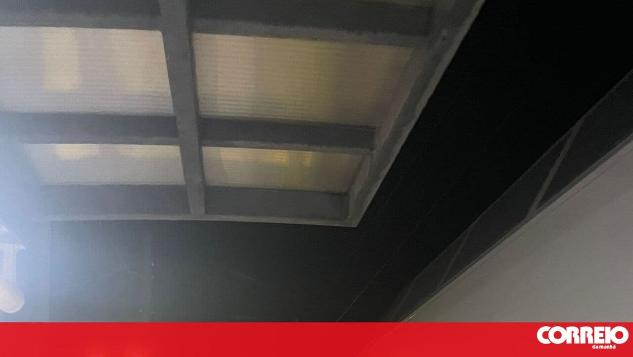 Train passengers in Montemor-o-Novo left desperate for nearly 4 hours. Bird caused issues with the electrical connection