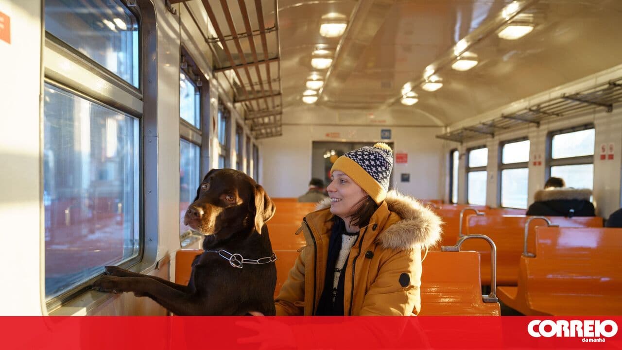 Travelling through Europe with your pets? Pay attention to the new requirements for animal transport