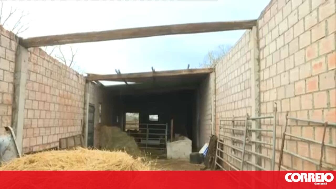 IPMA believes a tornado hit a village in Vinhais