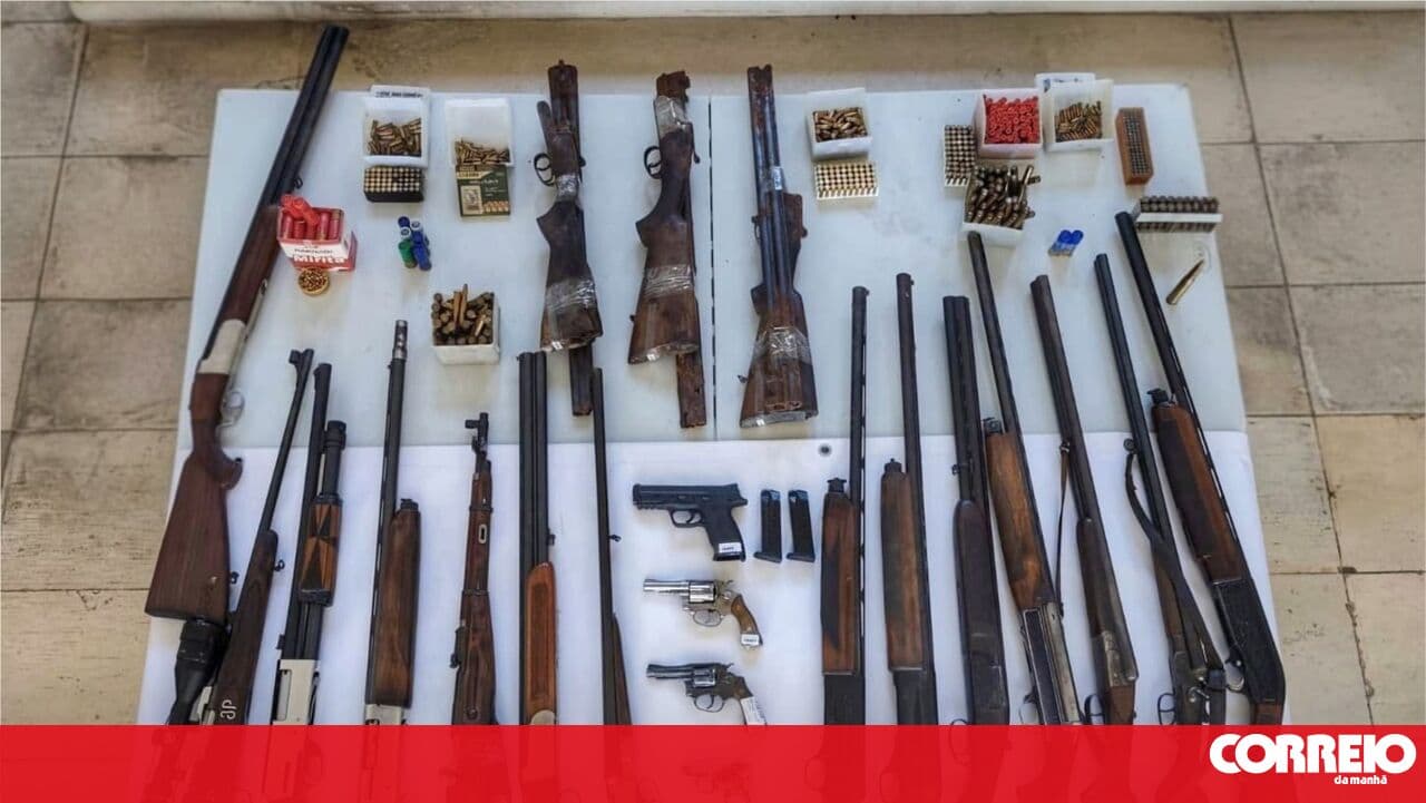 PSP removes 294 illegal weapons from the streets