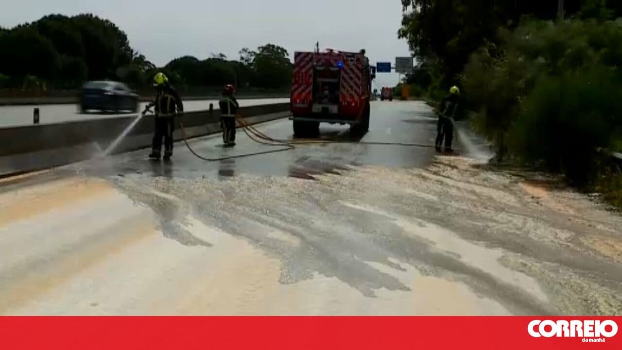 Truck cargo comes loose and leaves motorway covered in corn