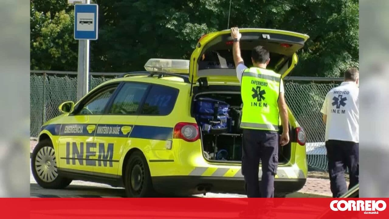 Man suffers cardiorespiratory arrest after being stung by a wasp in Gerês