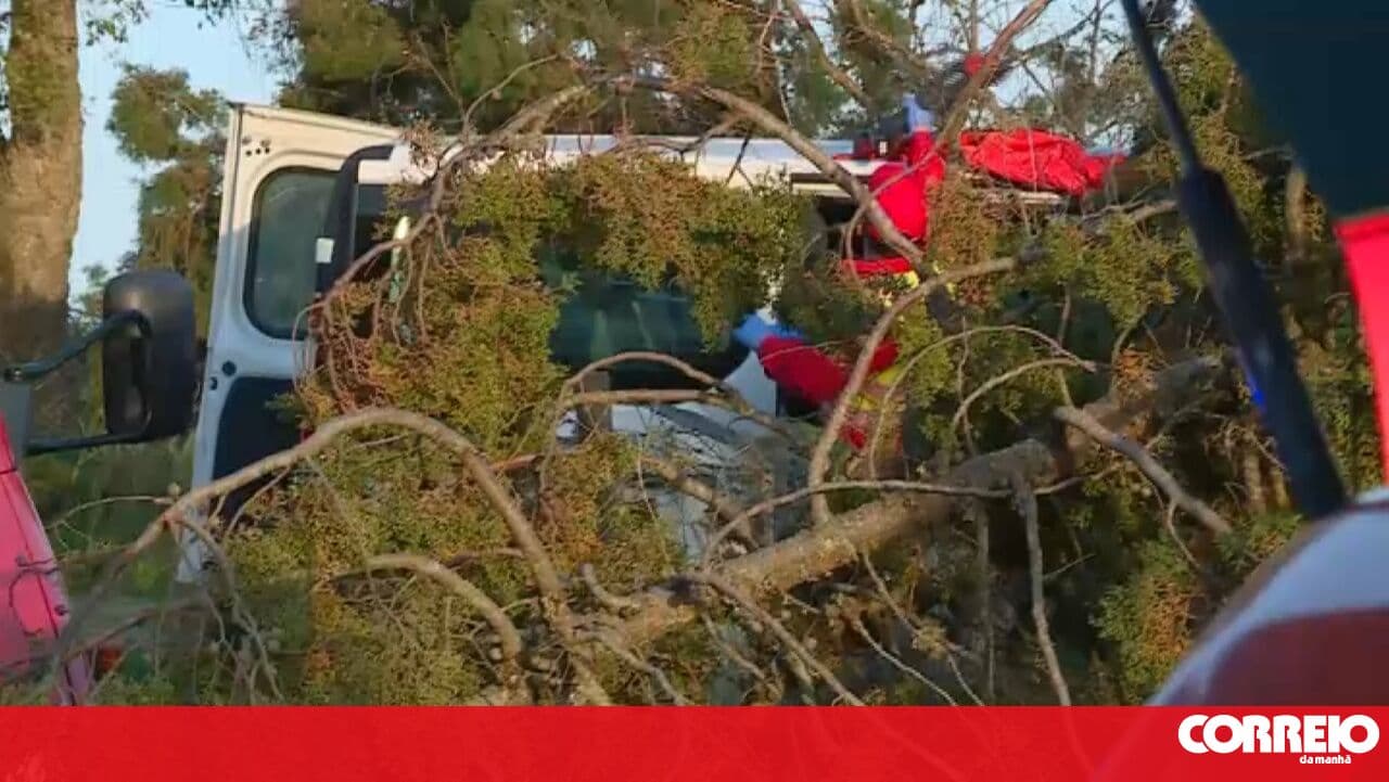 Van crash leaves one dead and six injured in Palmela