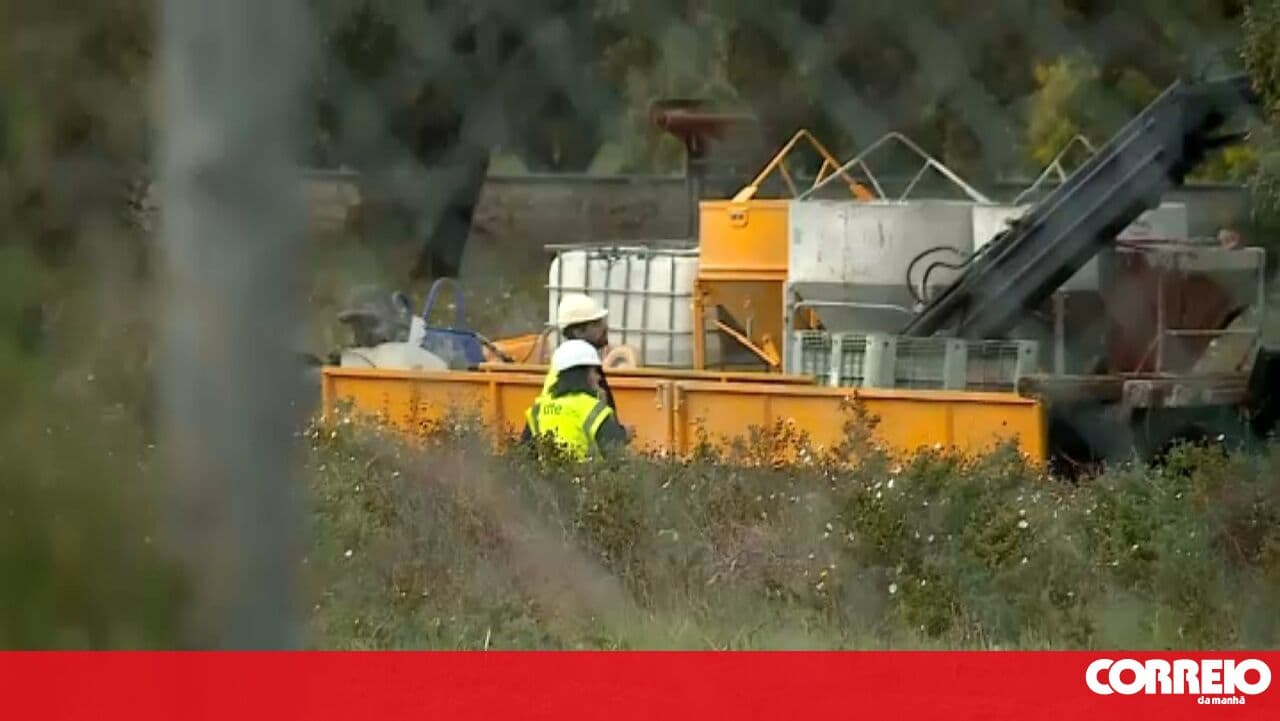 Train accident leaves two injured in Coruche