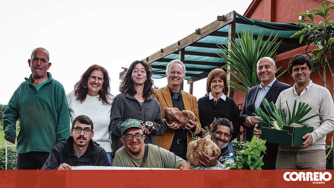 Medialivre makes donation following victory in lawsuit defending freedom of expression