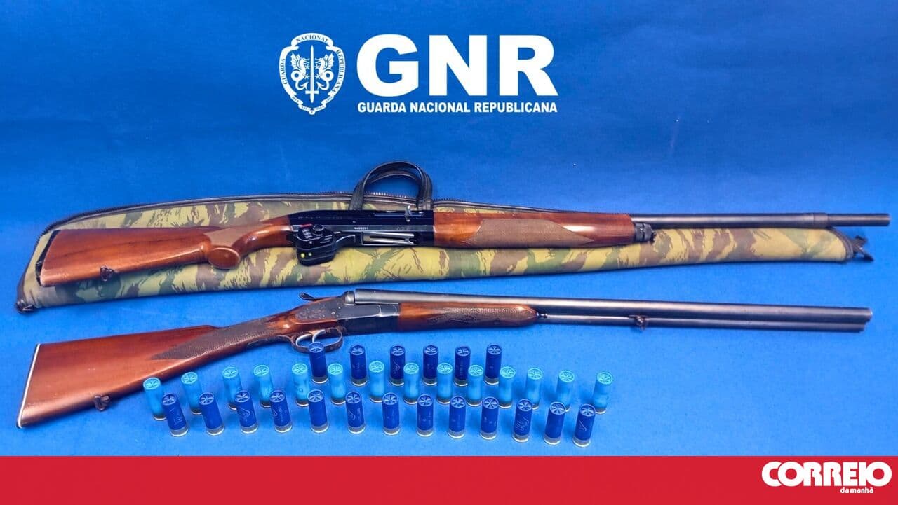 GNR seizes two weapons from domestic violence suspect in Grândola