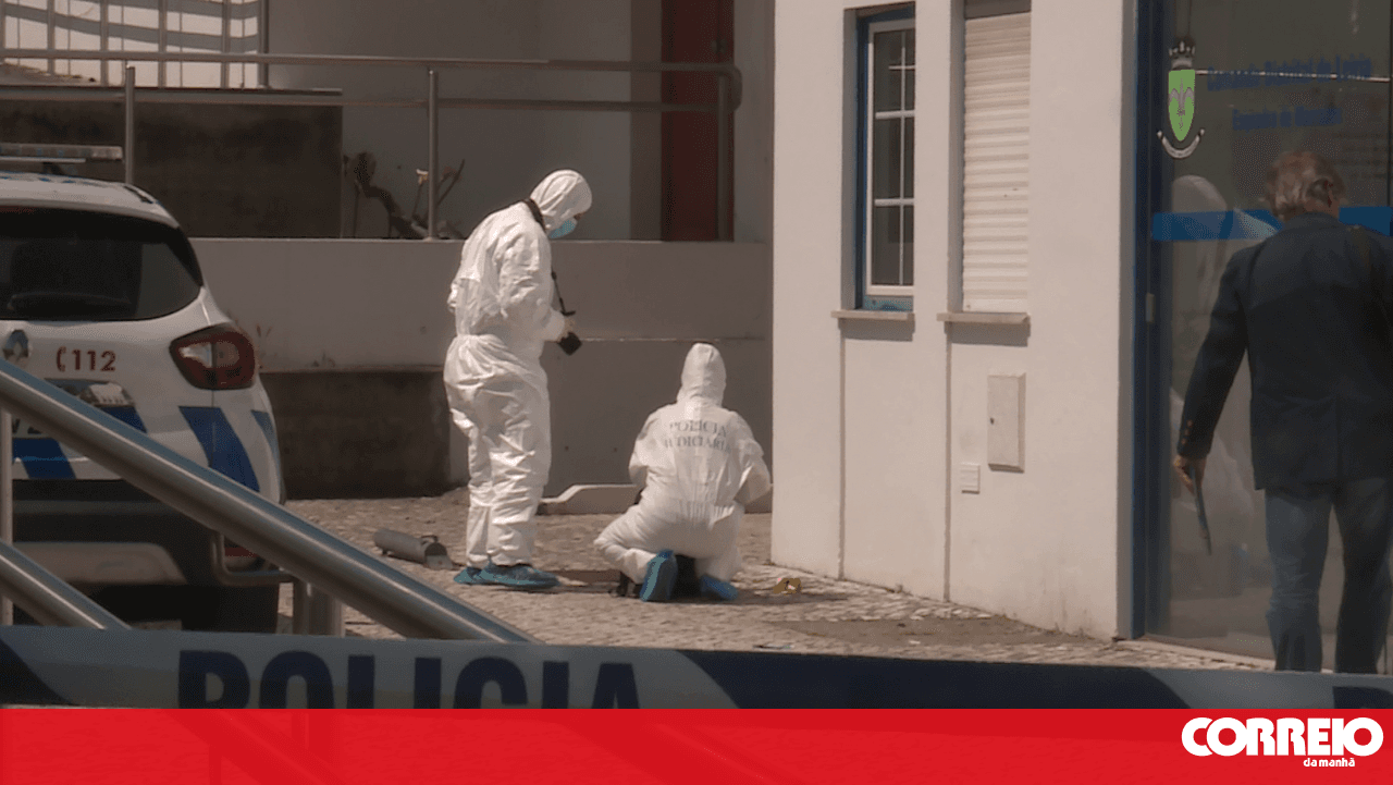 Young man who stabbed PSP officer at Leiria police station had previously insulted officers