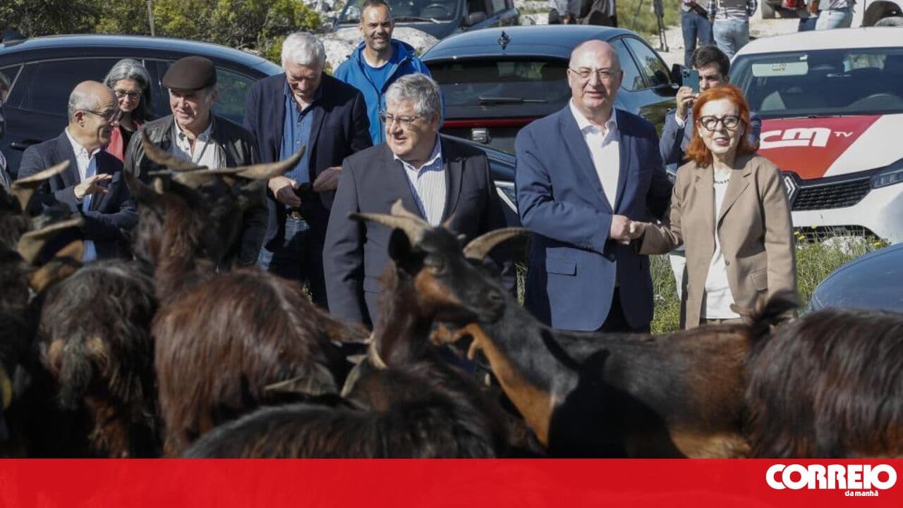 30 million euros available to attract new shepherds and increase herds