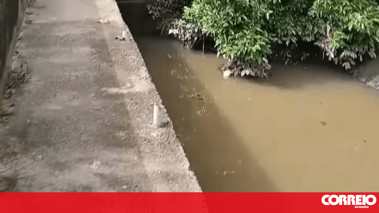 Livestock farm identified by GNR for polluting a watercourse in Caldas da Rainha