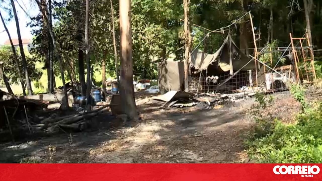 Fire destroys agricultural shed in the municipality of Coimbra