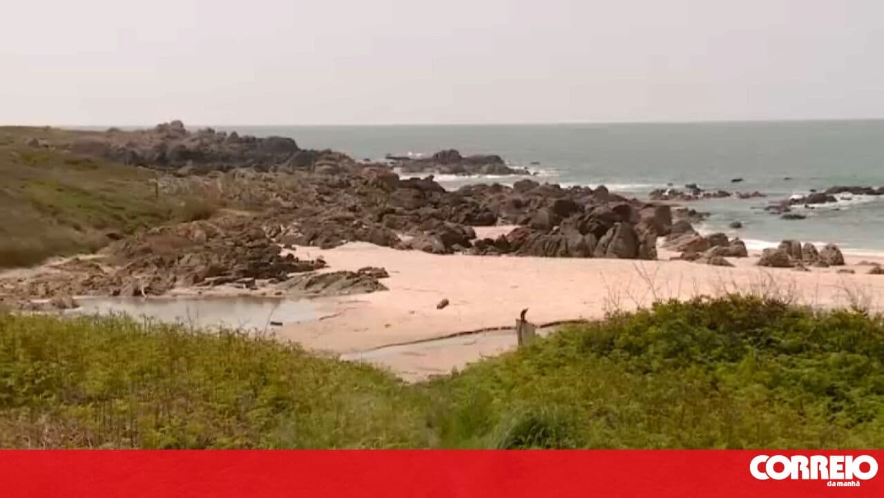 Man goes octopus fishing and disappears in Viana do Castelo