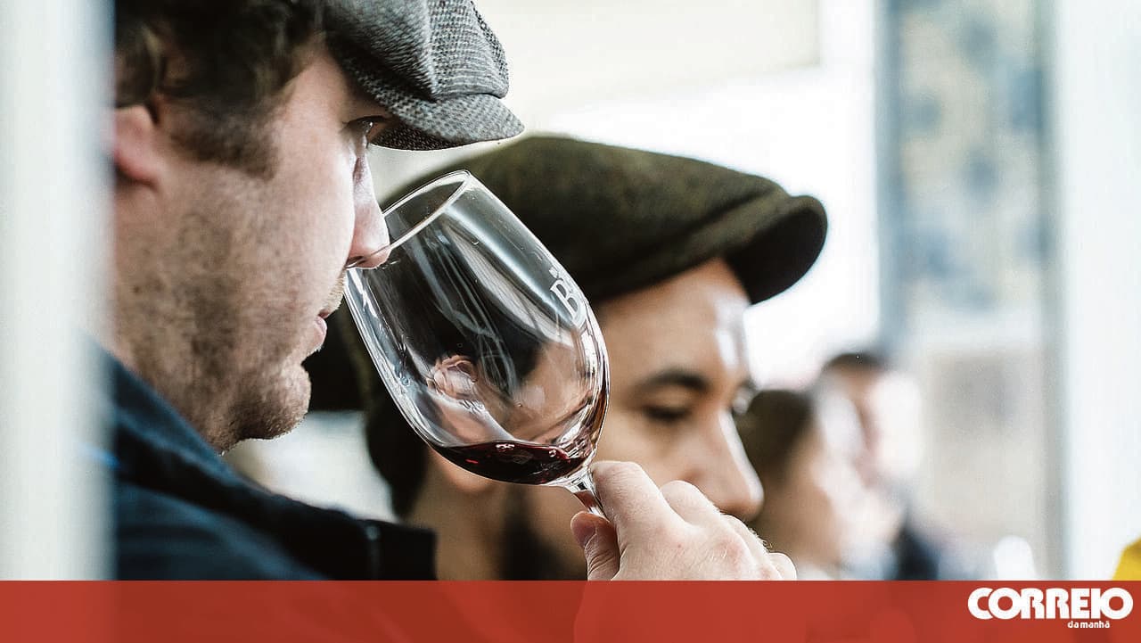 A day to celebrate a grape variety and the wines of its region