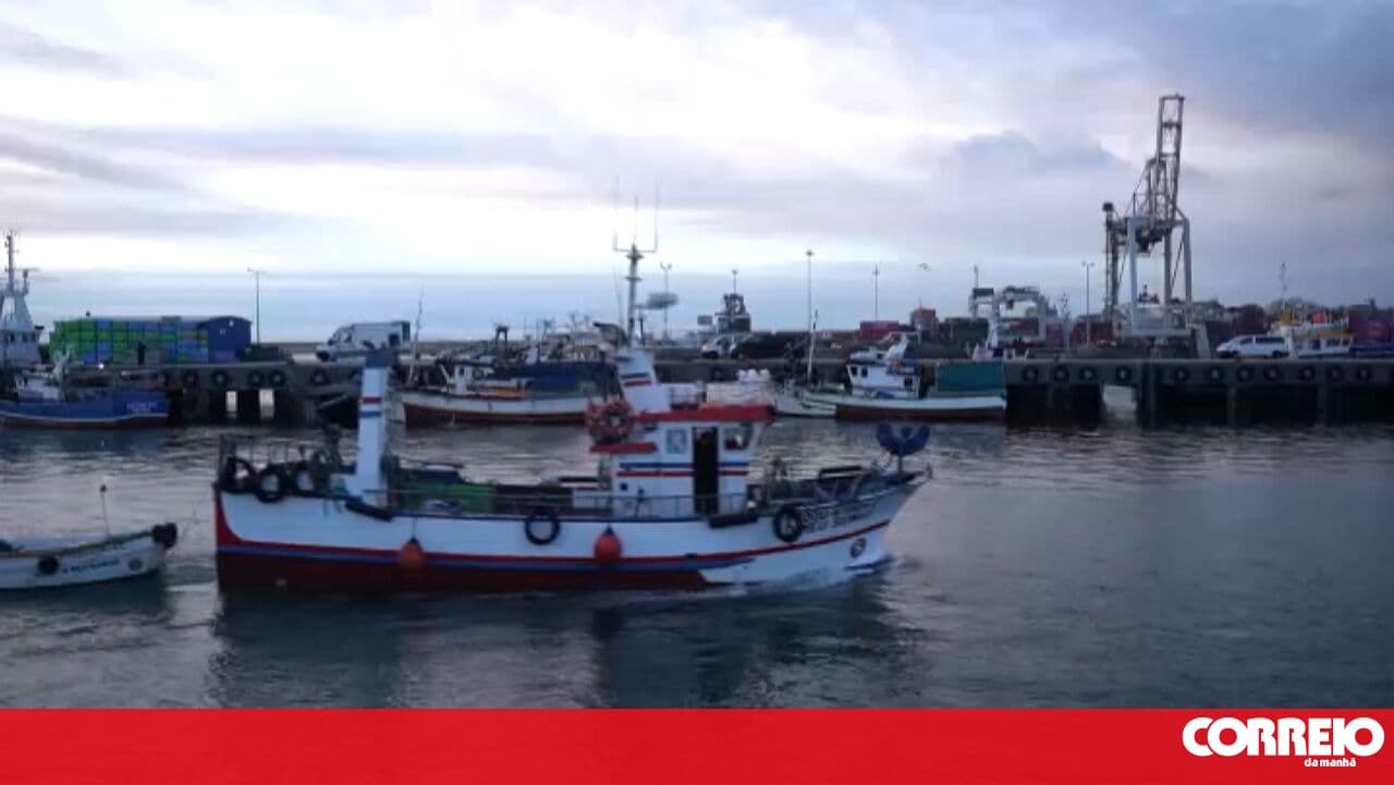 Fishermen navigate a 'sea of uncertainty': Professionals believe the sector in Portugal is "doomed"