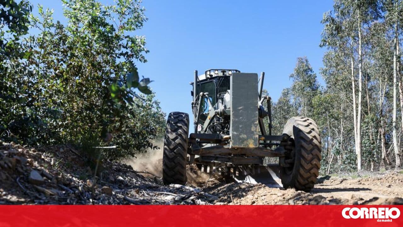 Pedrógão Grande and Figueiró dos Vinhos work on forest paths with summer in mind