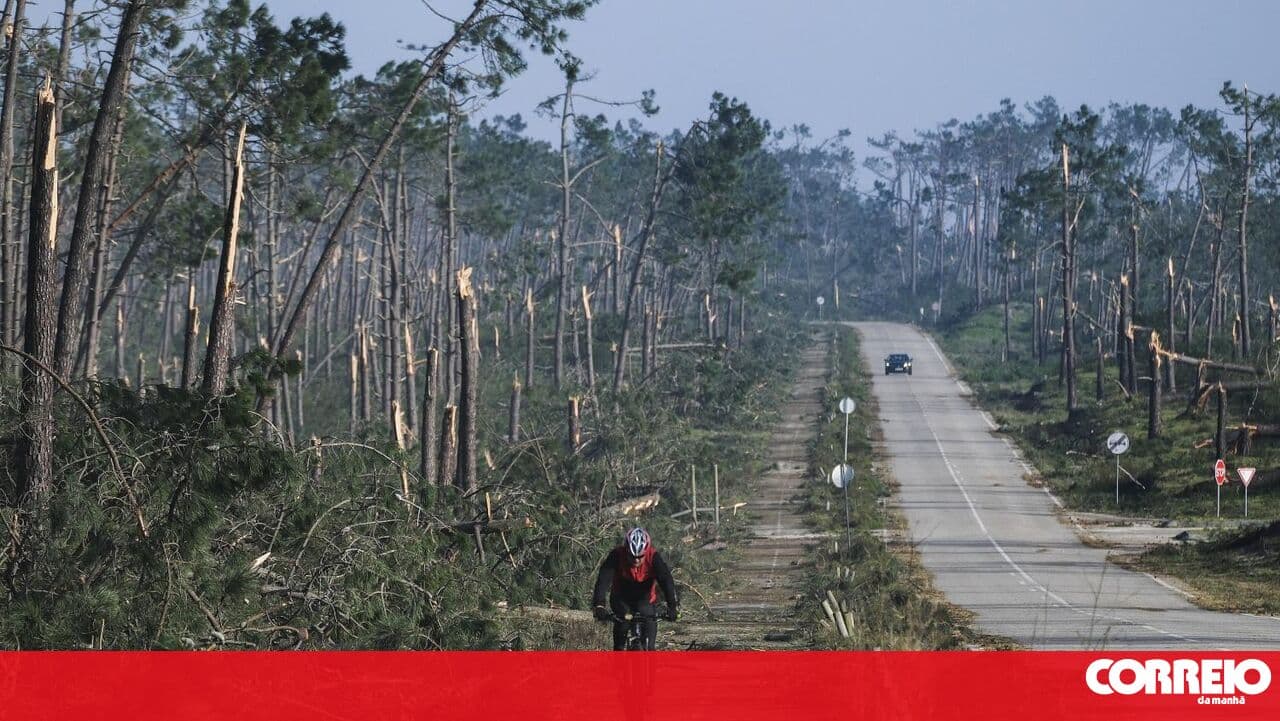 Three national coastal forests "particularly affected" by bad weather