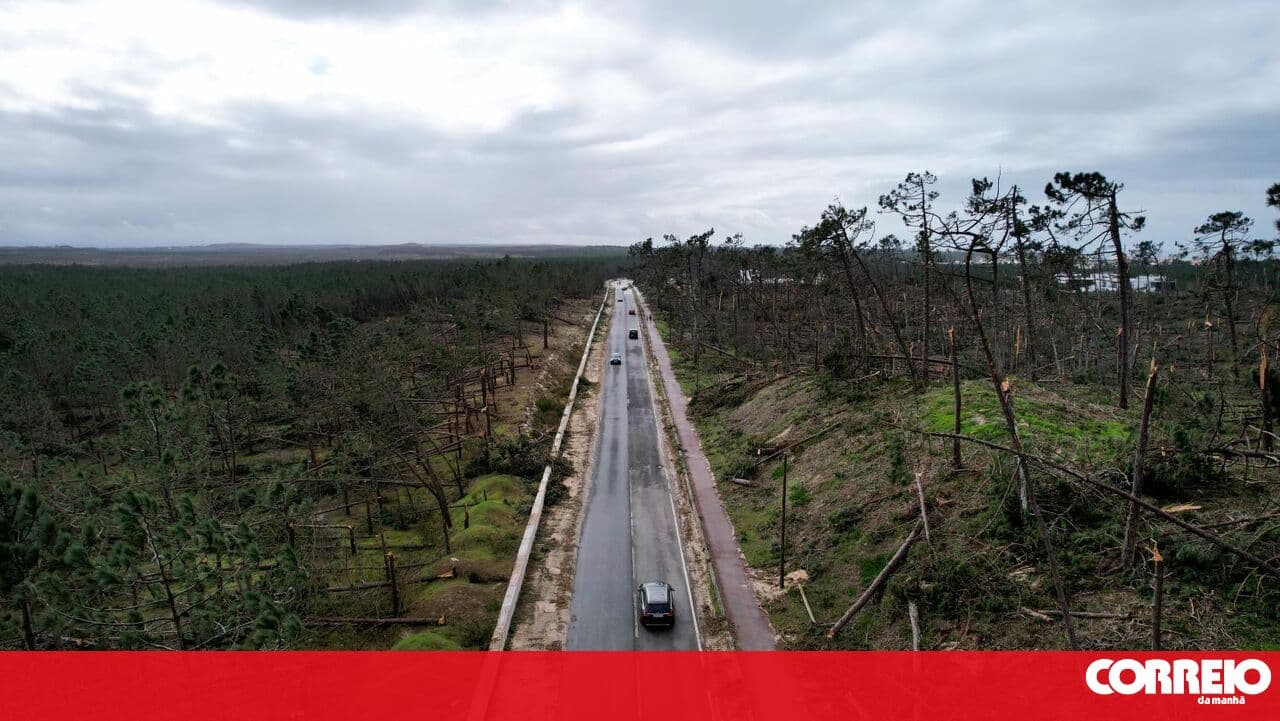 Over three thousand kilometres of forest paths cleared after bad weather