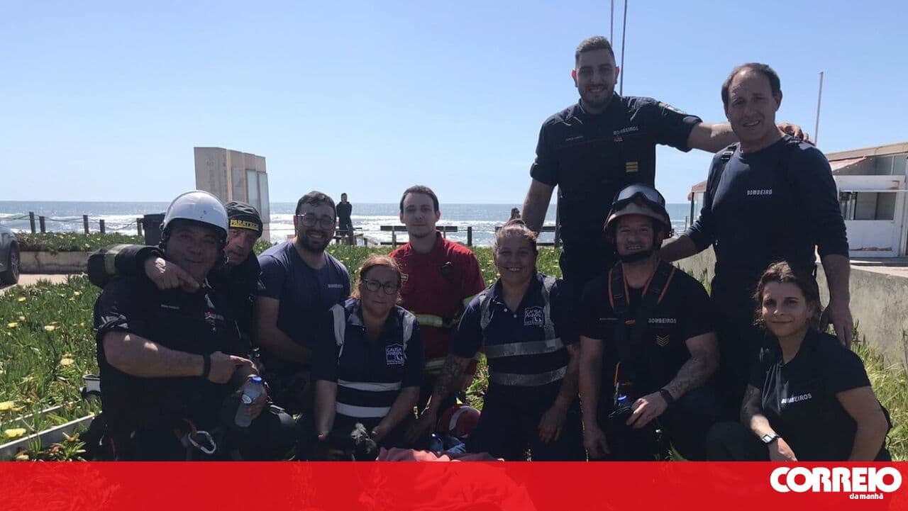 Firefighters rescue dog from 25-metre deep well in Leça da Palmeira