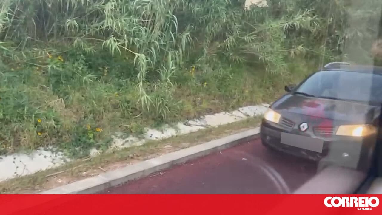 Footage shows car driving on the exclusive Metro do Mondego track in Coimbra