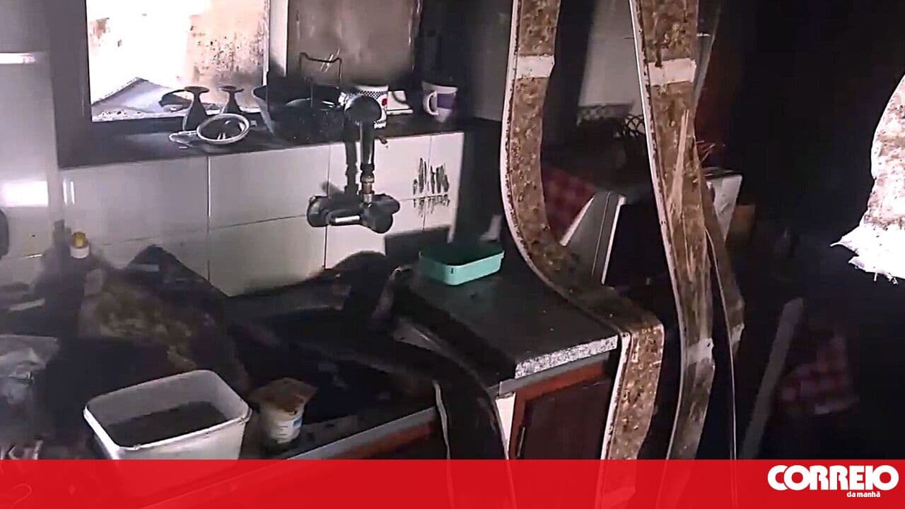 Fire in outbuilding leaves five homeless in Montemor-o-Novo
