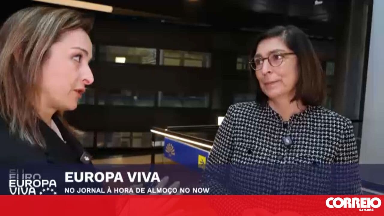 Meet the woman who has been a PS MP, parliamentary group leader, and is now a Member of the European Parliament