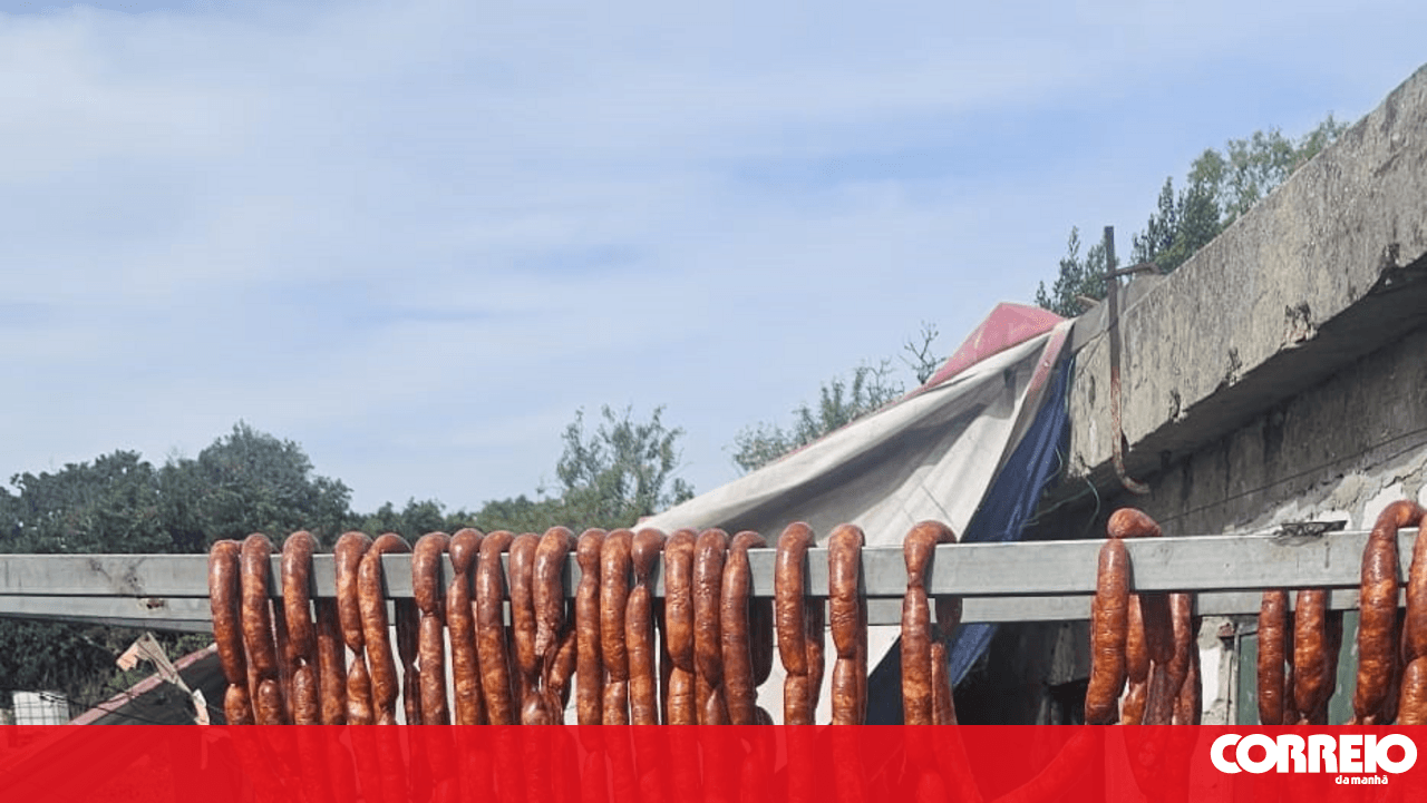 PSP seizes chorizo, pork scratchings, and pig's ear at Cacém station in Sintra