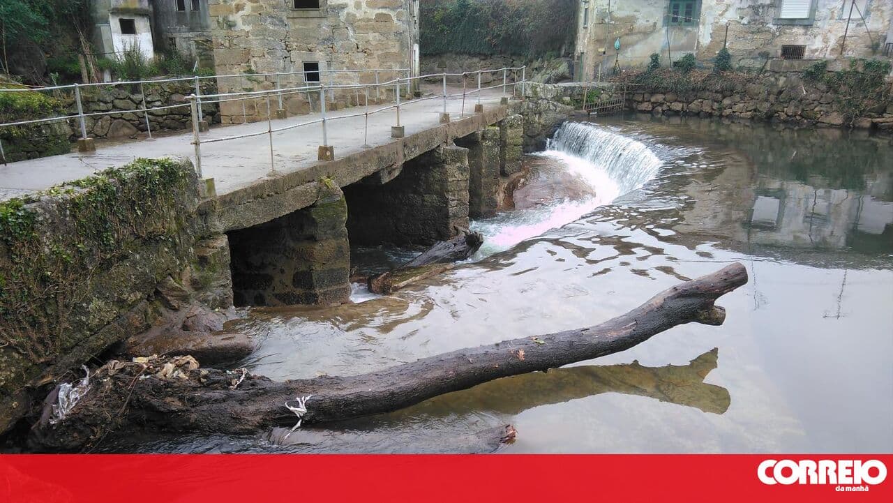 81 million euro plan to restore the Leça River in public consultation