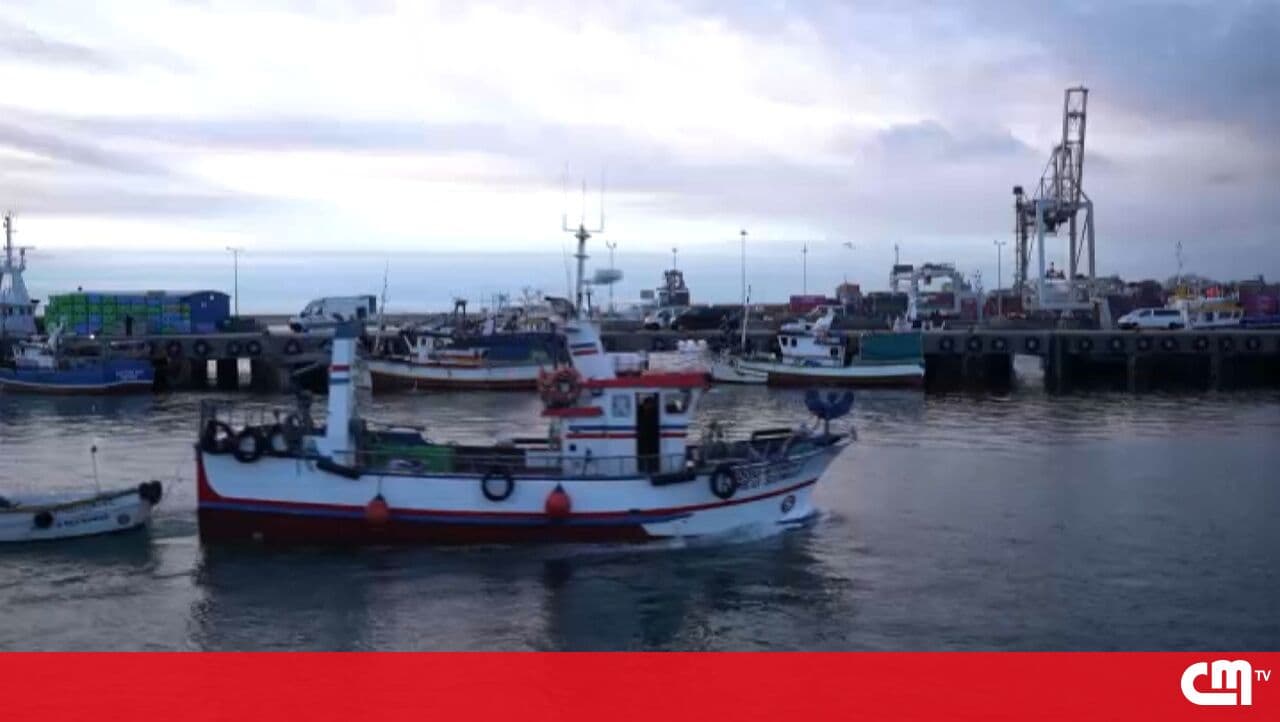 Fishermen navigate a 'sea of uncertainty': Professionals believe the sector in Portugal is "doomed"