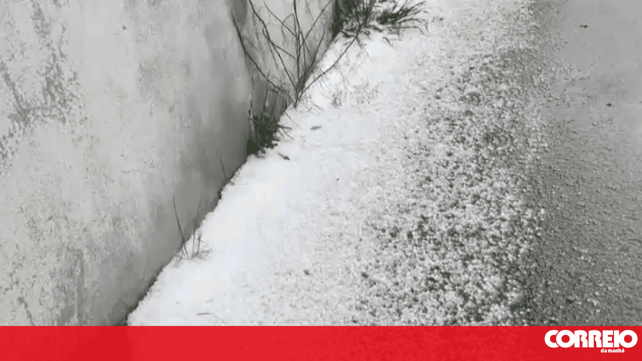 Hailstorm causes damage to agriculture in Mogadouro