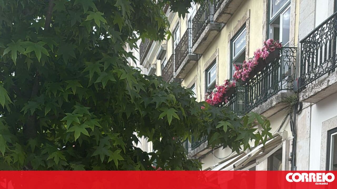 Several injured after tourist bus skids and crashes into a shop in Lisbon