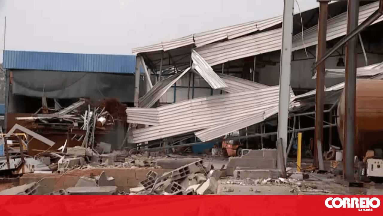 Houses with tarps, roads cut off and fallen trees: Ourém has yet to recover from the damage caused by the storms