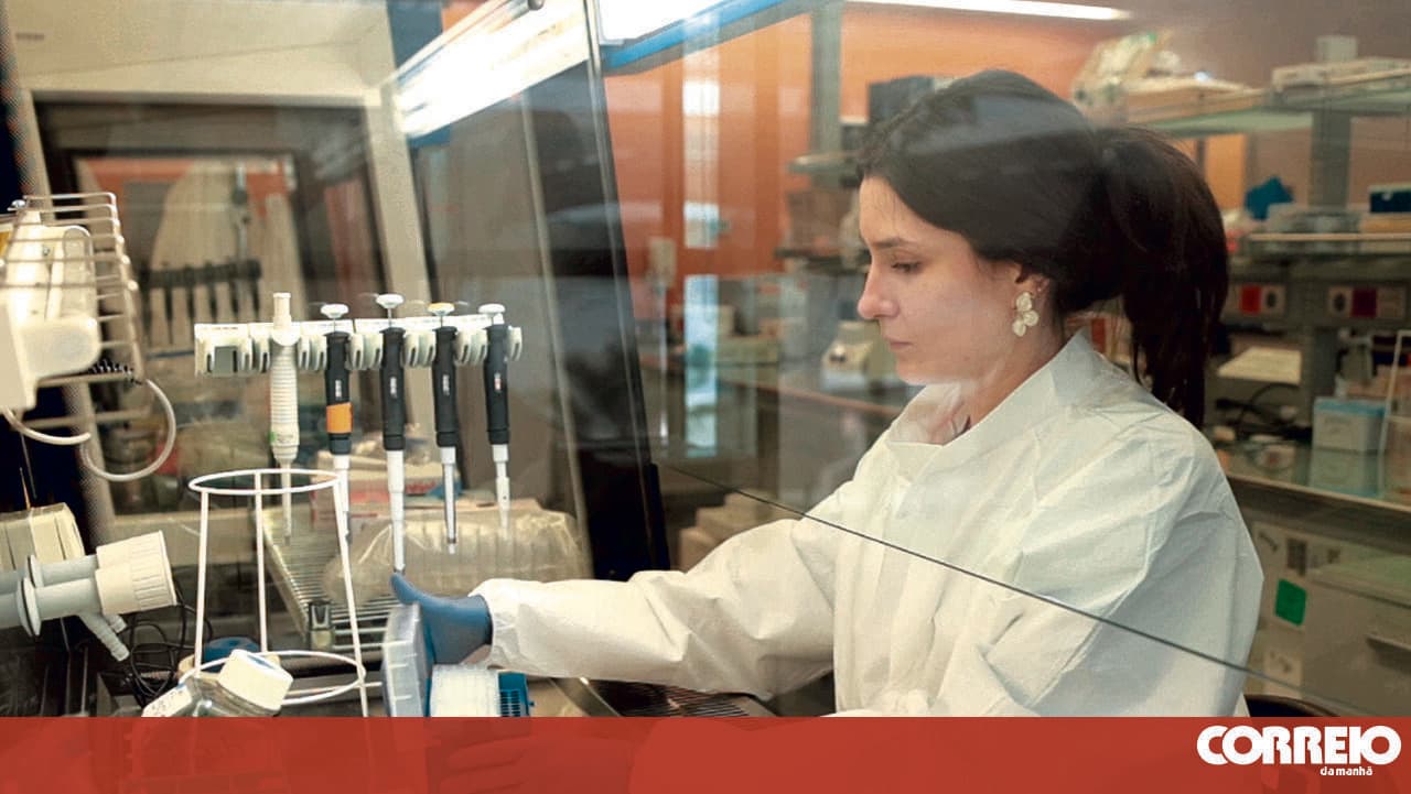 'Made in Portugal' research: the science that aims to turn ideas into innovation