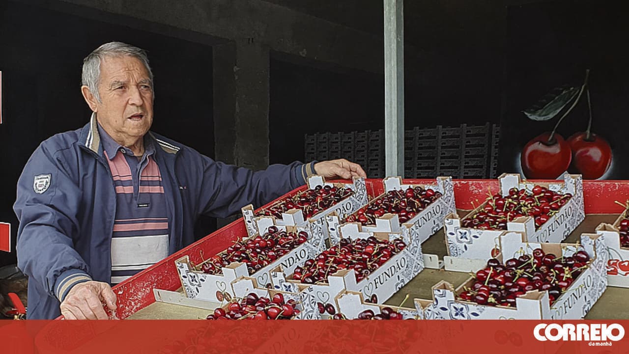 Cherry production drop of up to 80%