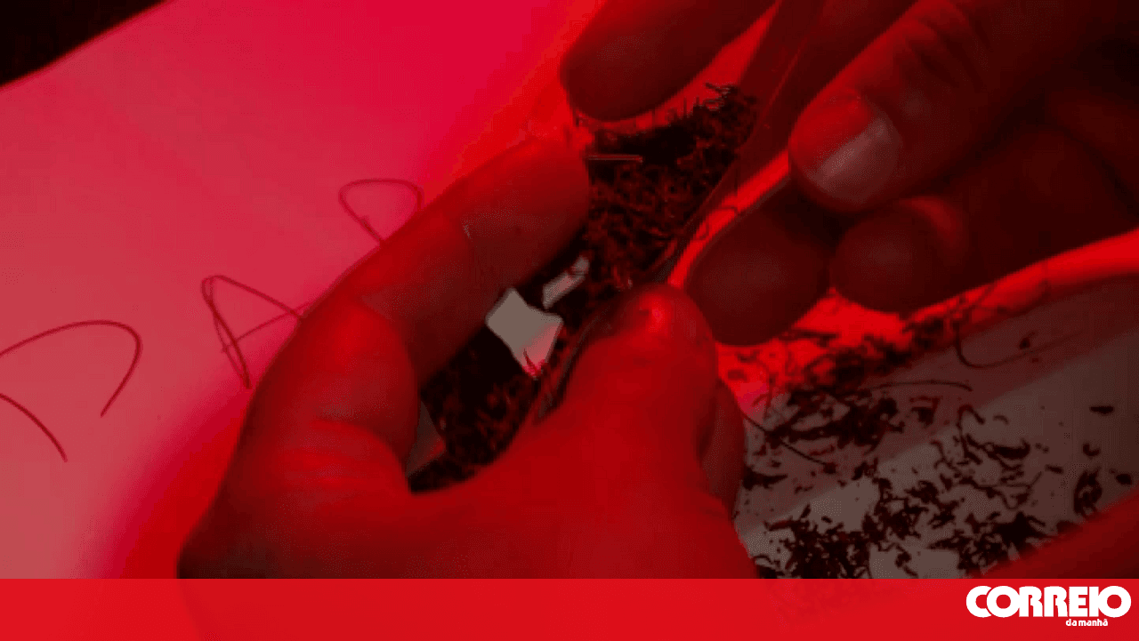 Drug-laced paper and mobile phones seized at Coimbra prison