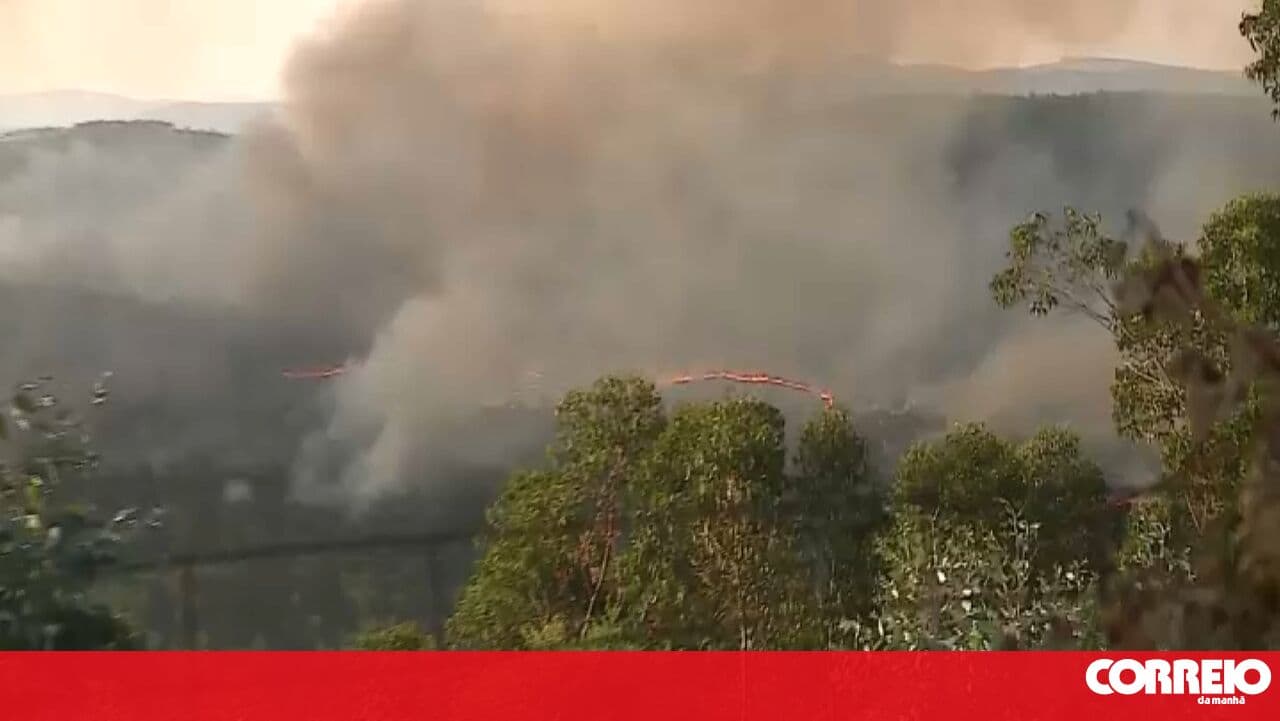 Forest fire breaks out in Arouca