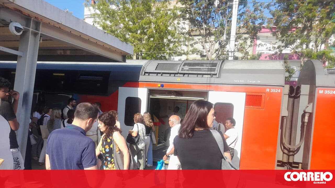 CP trains face disruptions after passenger falls ill at Moscavide station