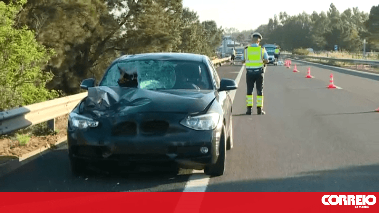Car goes off road and kills pedestrian on the A8 in Caldas da Rainha