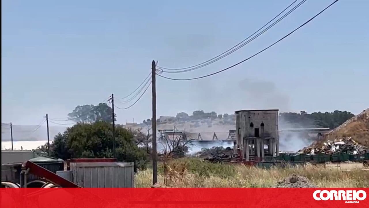 Waste management company in Montemor-o-Novo was set to be closed by the Municipality