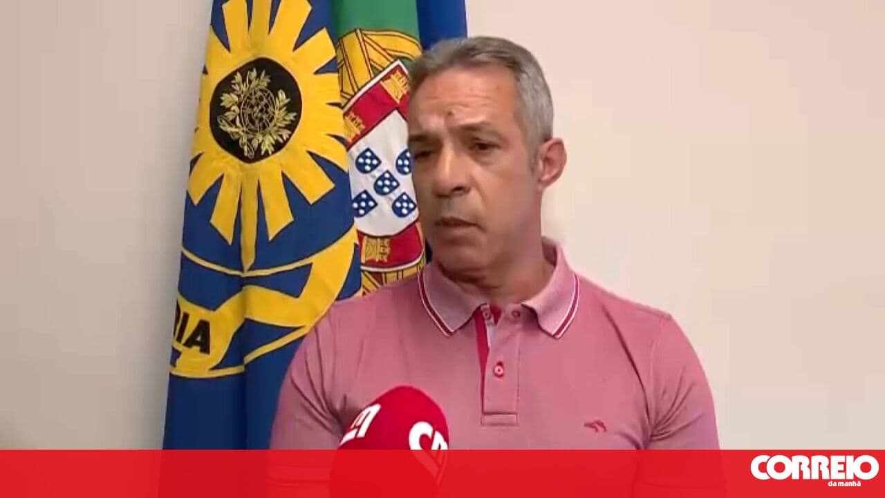 "It was on top of the vegetation, with the backpack": Vila Real PJ director recounts how inspectors found Lara's body