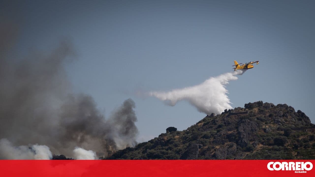 Forest fires cause 85 million in direct losses