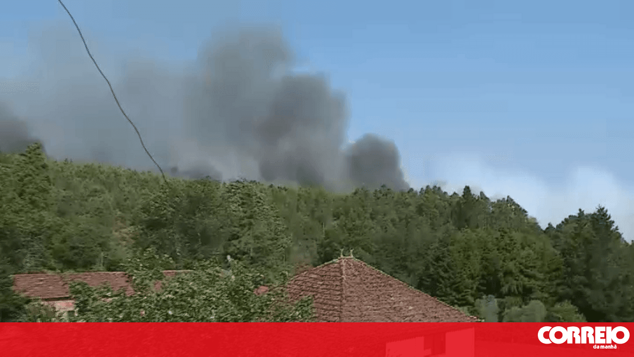 Fire in Caramulo, Tondela, enters mop-up phase