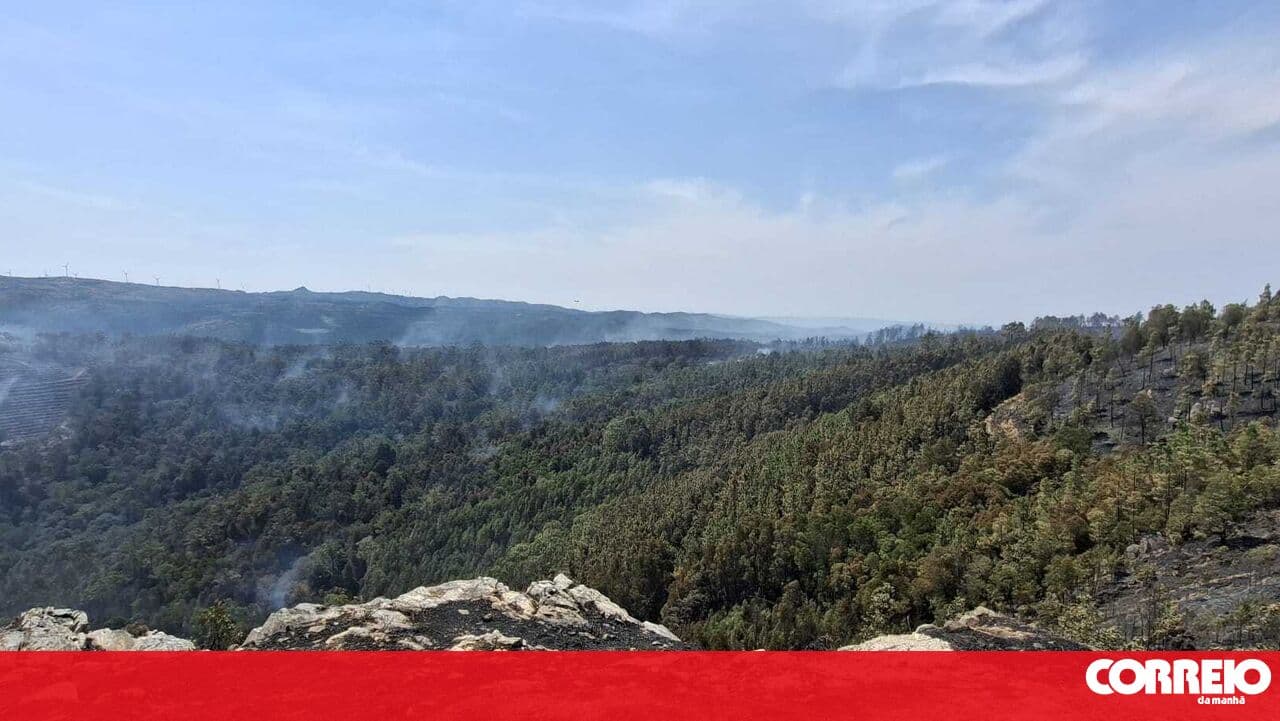 Tondela prepares plan to mitigate effects of fire in the Caramulo mountains