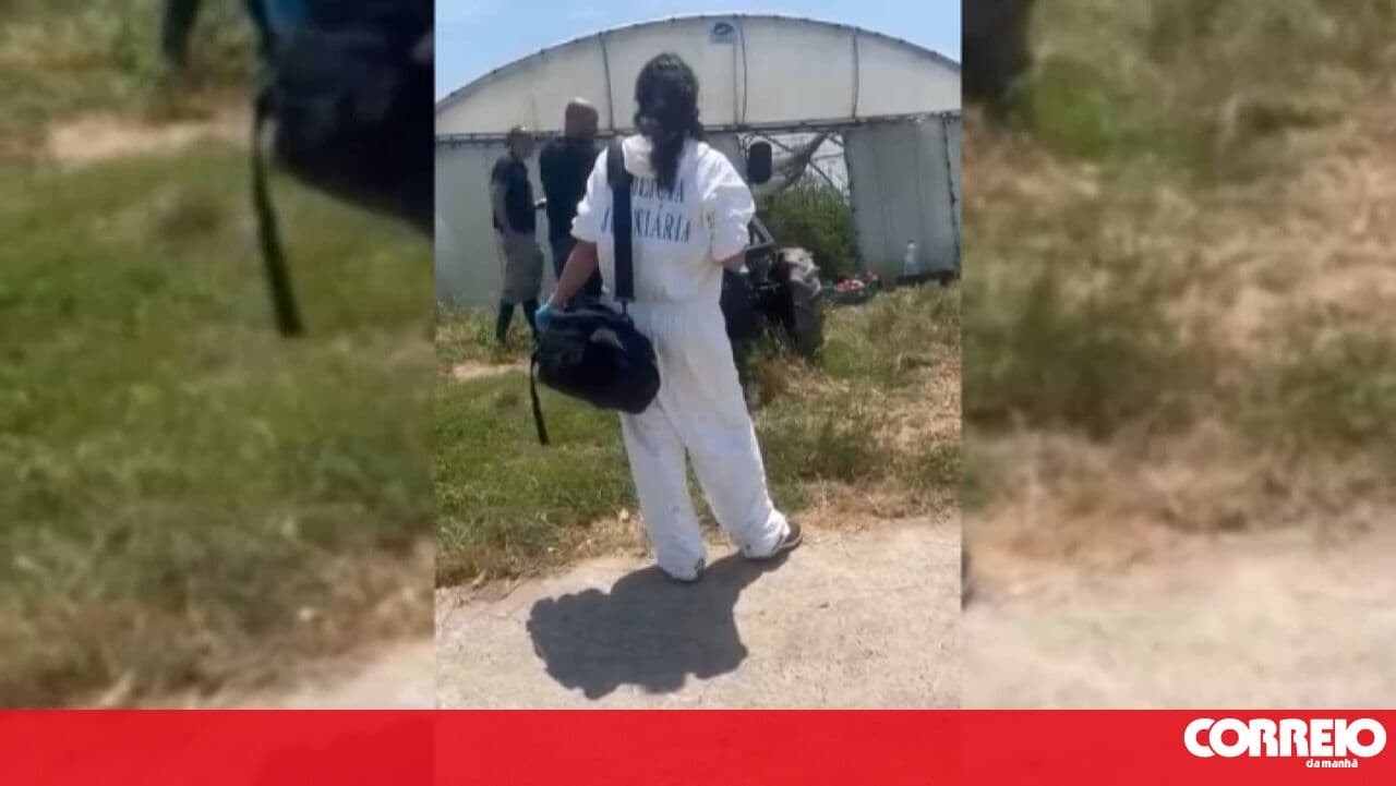 Two sisters found dead in an agricultural greenhouse in Póvoa de Varzim
