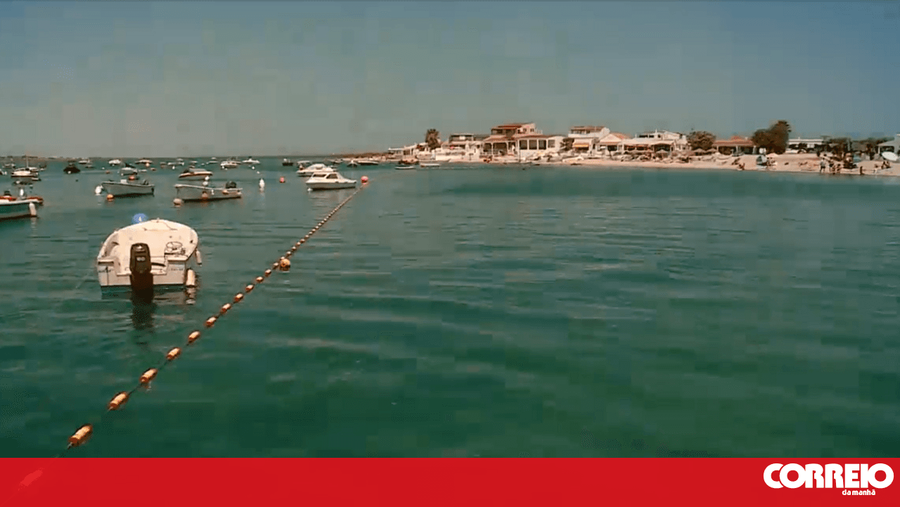 CMTV gained access to the document that authorised sanitation works on Armona Island