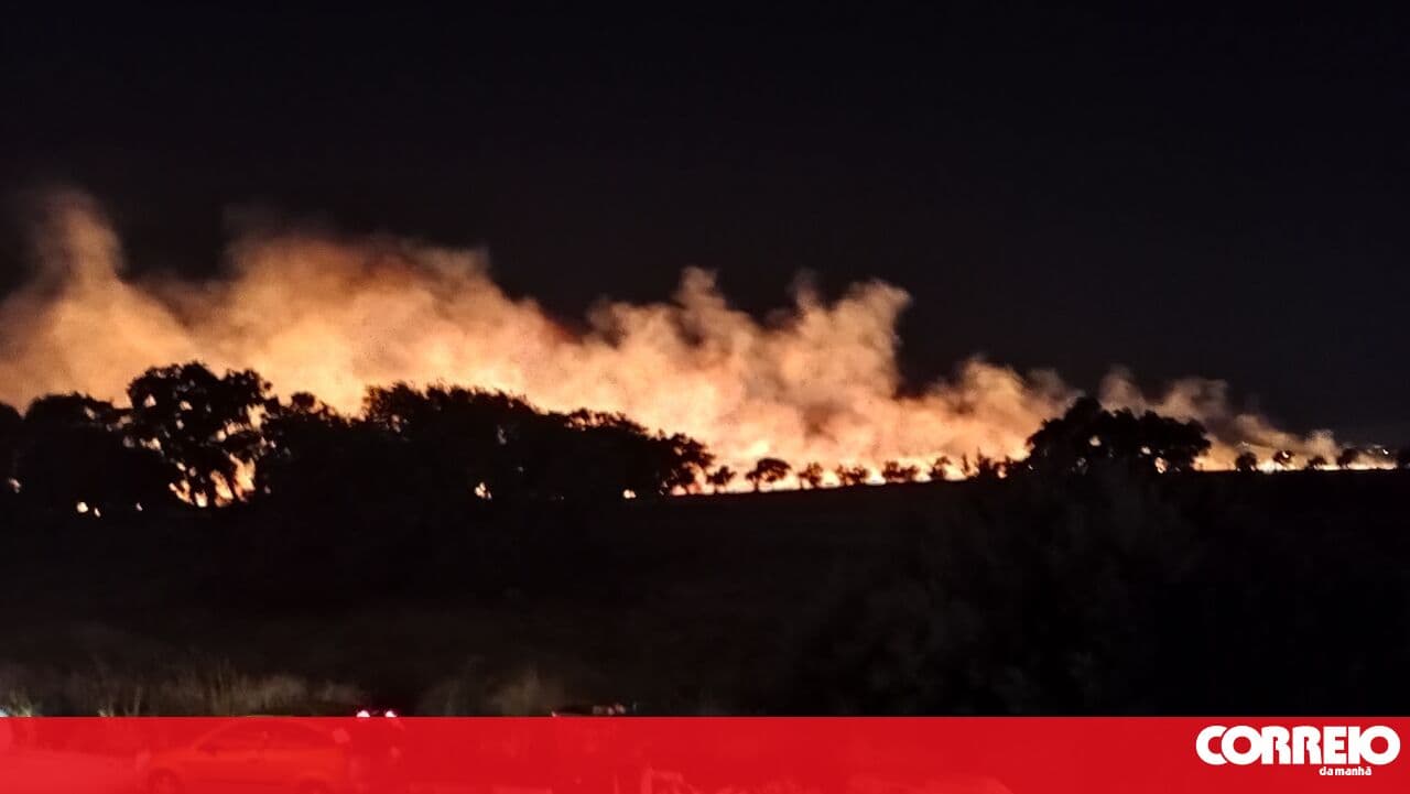 Fire that broke out in a pasture area in Montijo consumed four hectares