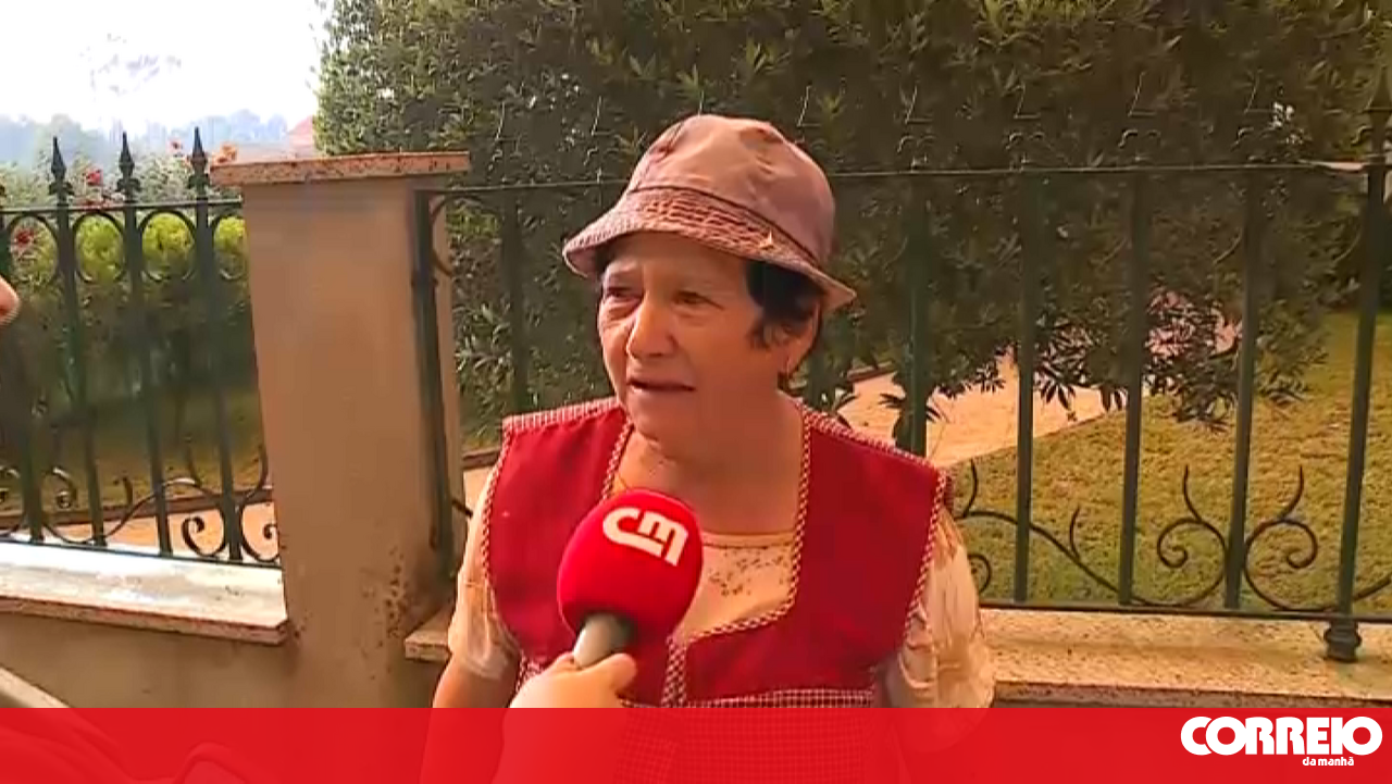 “Great concern and fear”: fire that broke out in Vouzela threatened homes, people, and animals