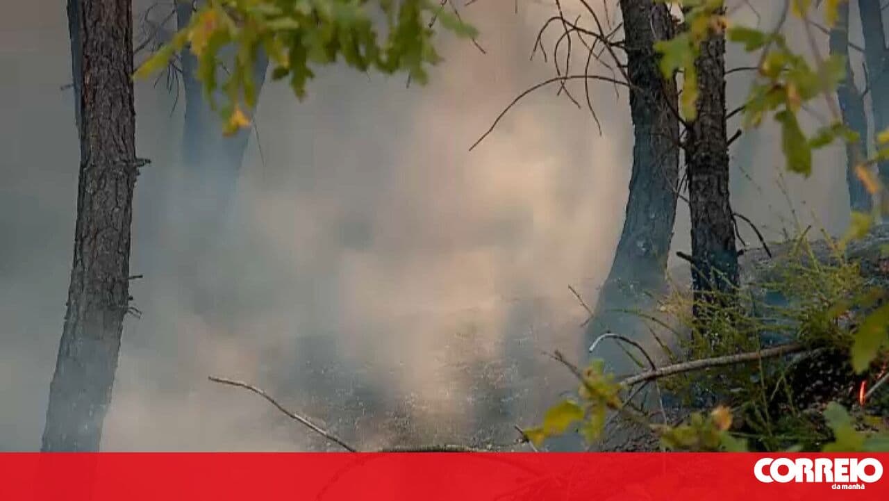 Woman arrested by the GNR on suspicion of starting a forest fire in Viseu