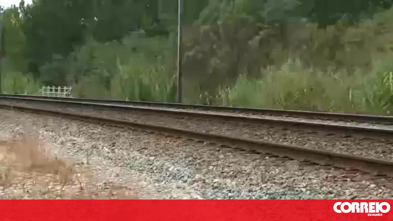 Linha do Norte line closed following a train collision resulting in one serious injury