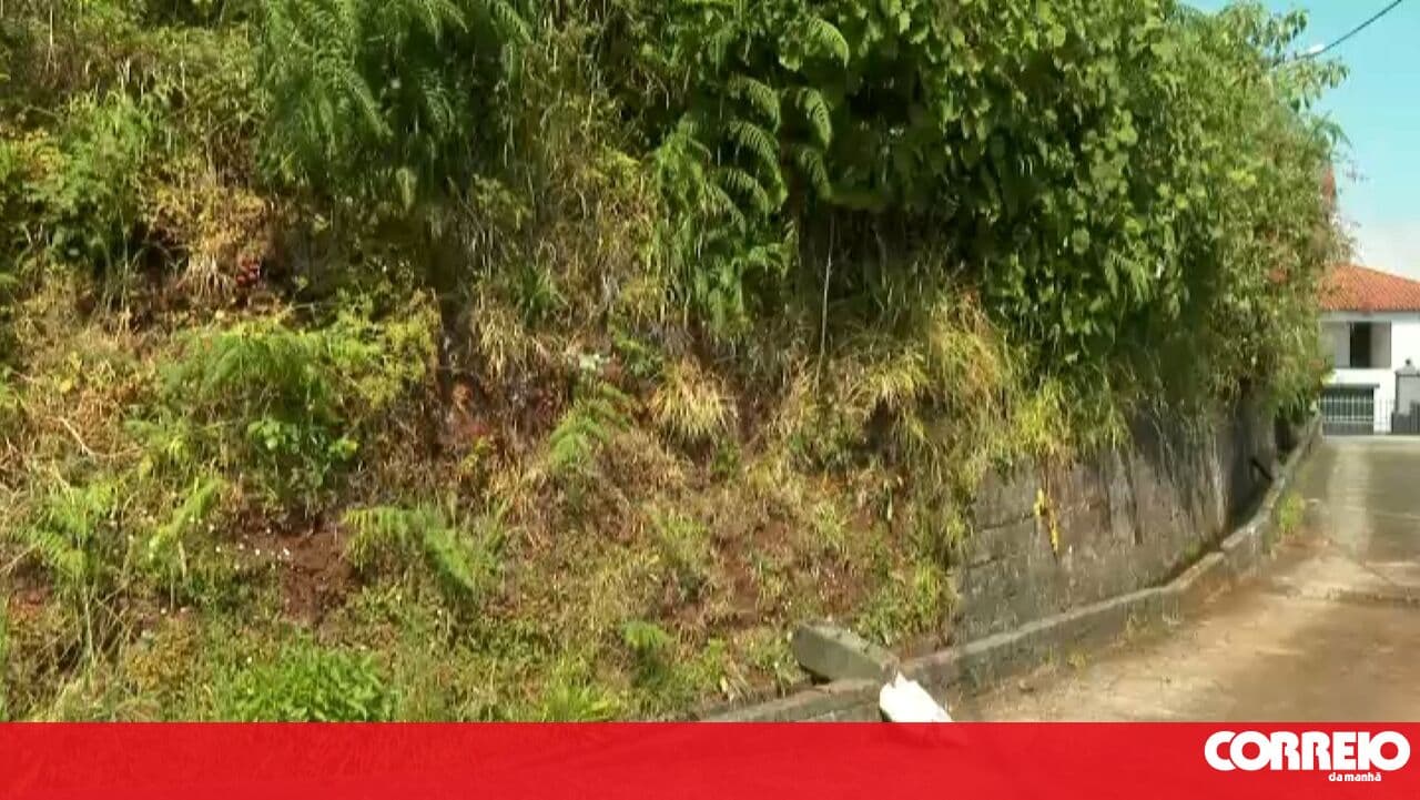 Argument with man ends in tragedy: Woman found dead in a levada in Madeira