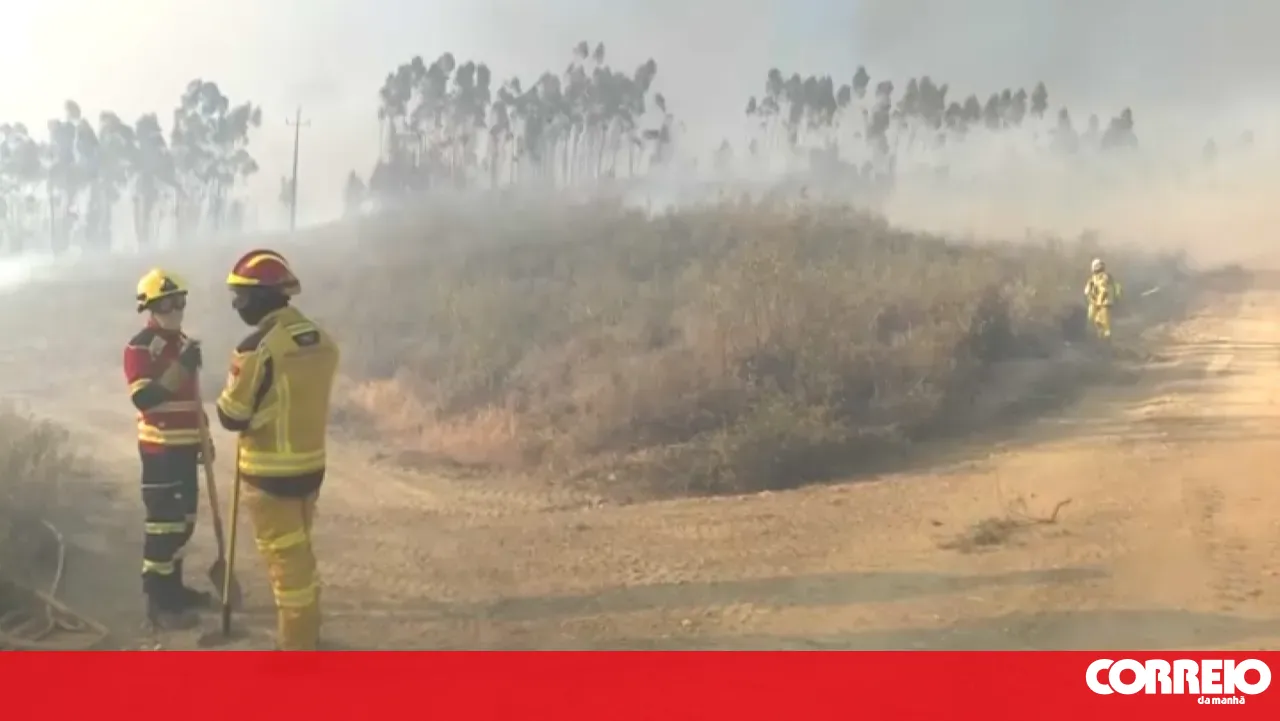 GNR identifies suspect for starting fires in Proença-a-Nova