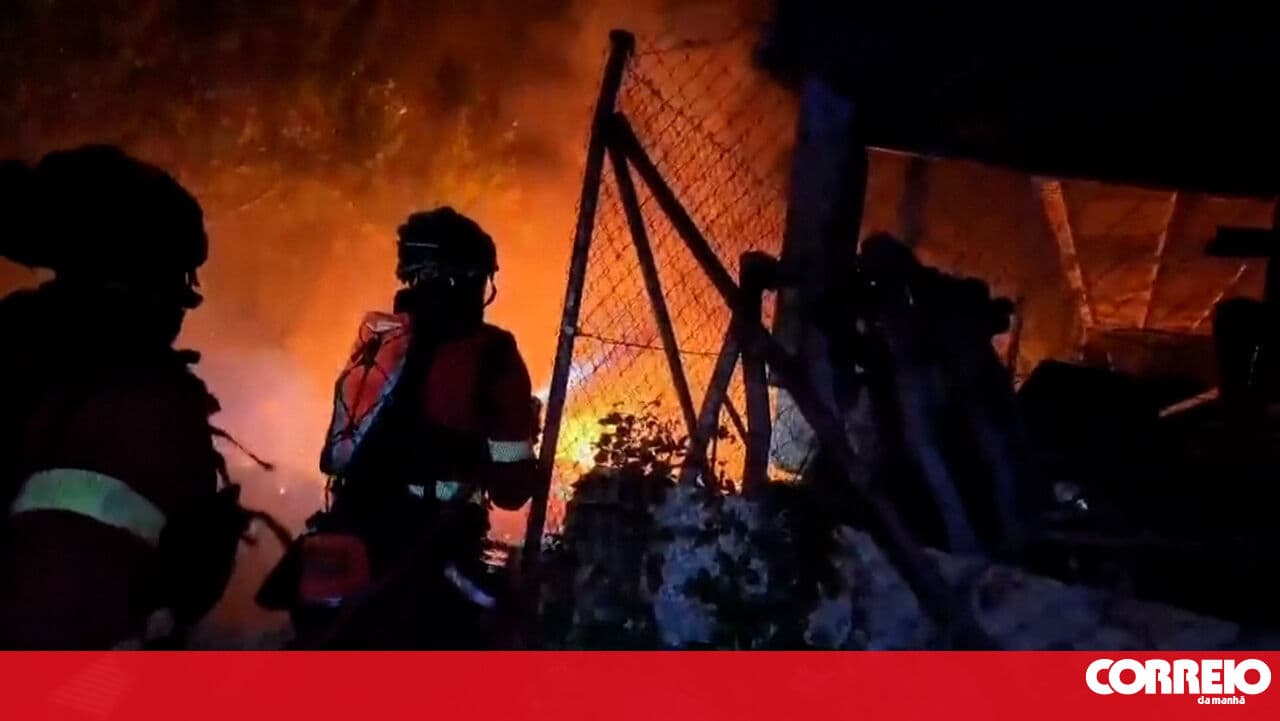Spain declares national emergency due to forest fires in Madrid and Ávila
